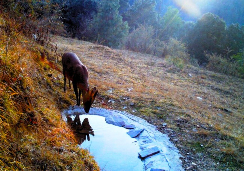 Jabarkhet Nature Reserve