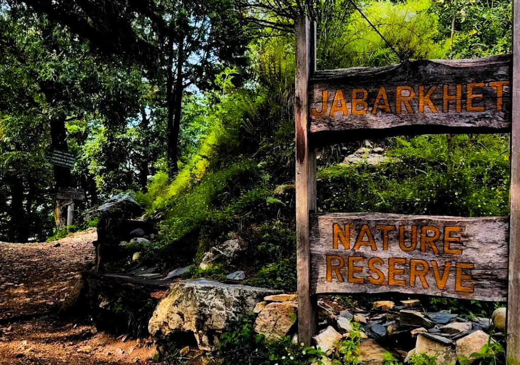 Jabarkhet Nature Reserve Mussoorie