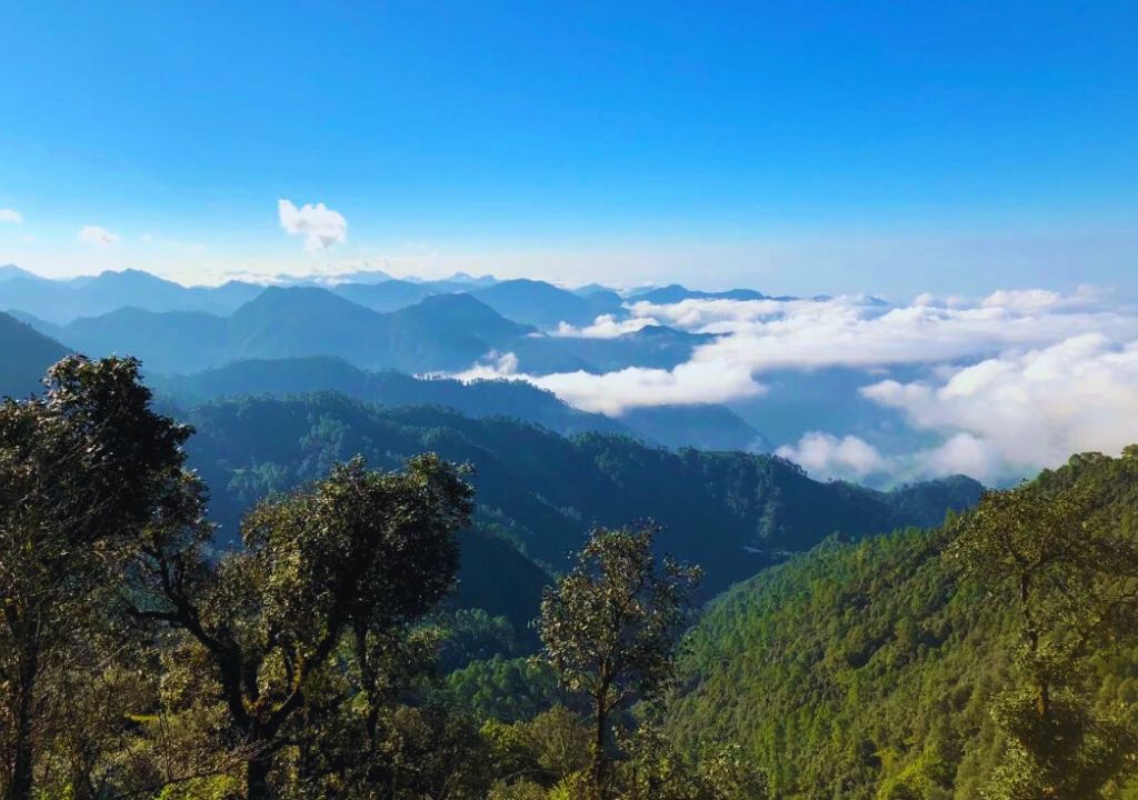 Jabarkhet Nature Reserve Mussoorie