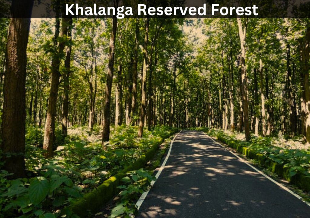 Khalanga Reserved Forest: A Haven for Biodiversity in the Foothills of the Himalayas