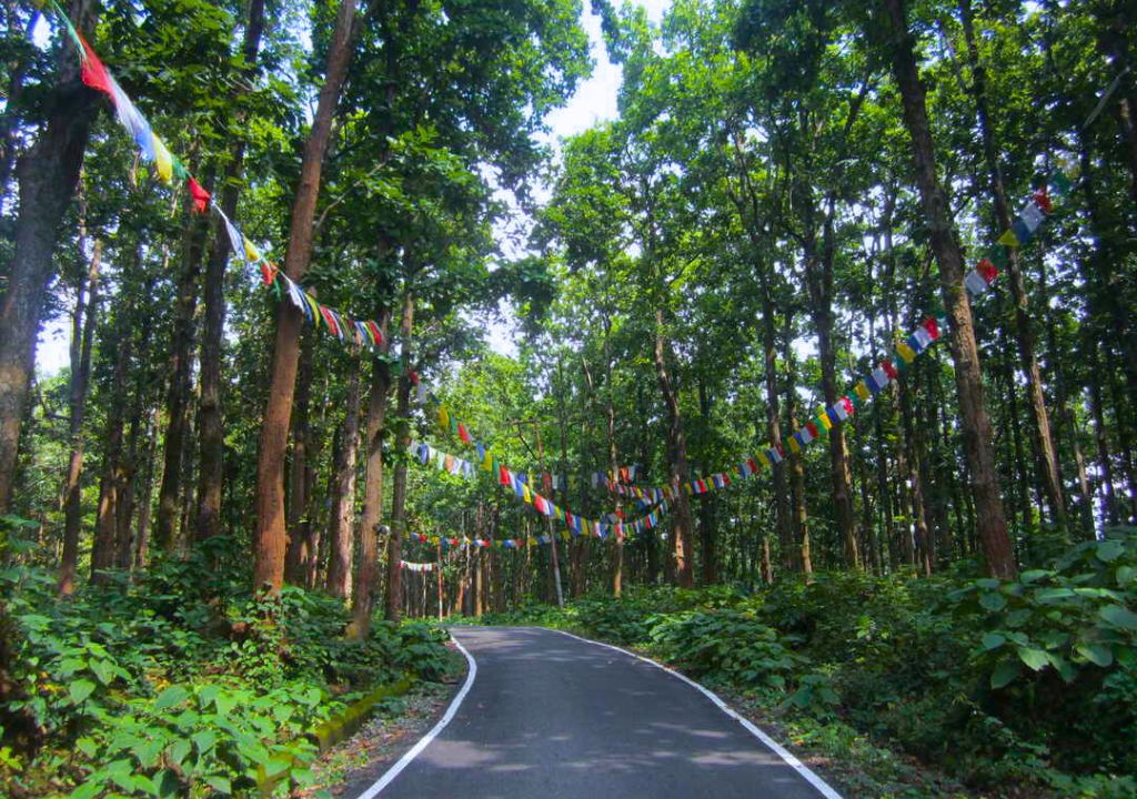 Khalanga Reserved Forest 