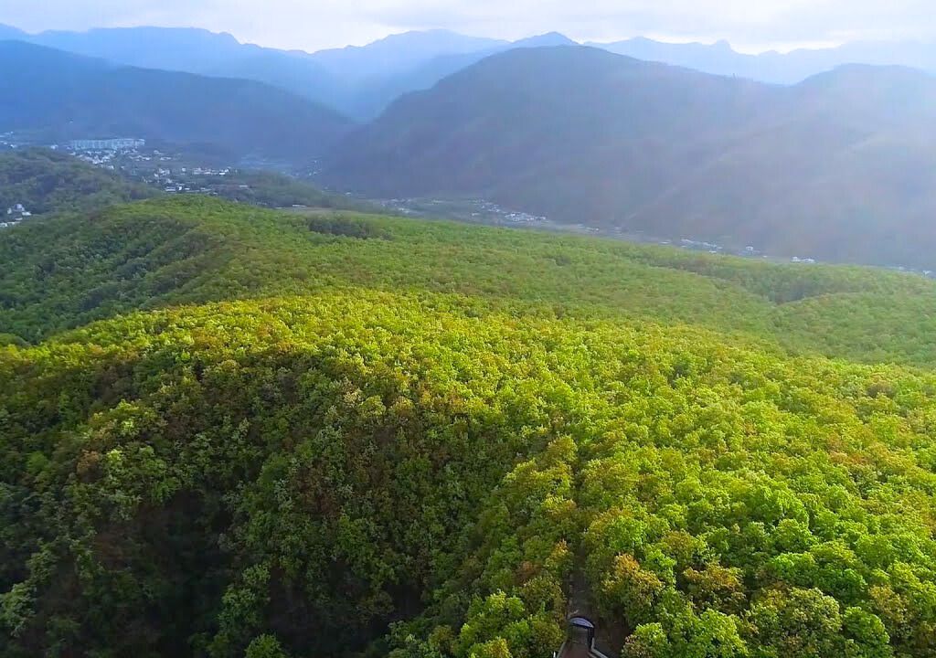 Khalanga Reserved Forest 