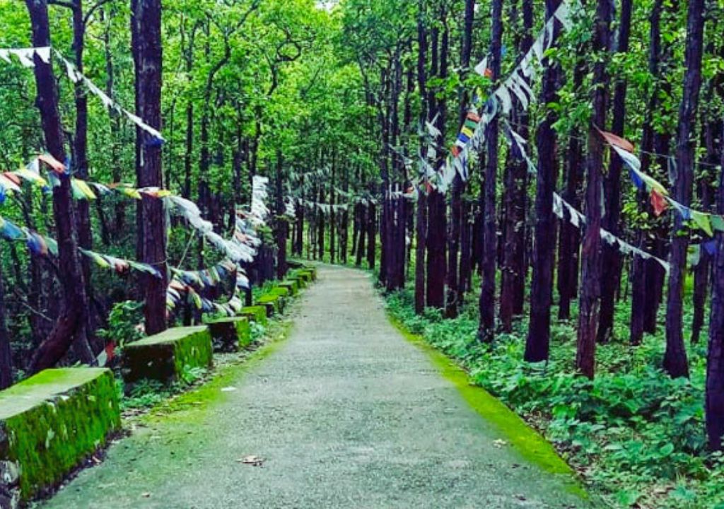 Khalanga Reserved Forest 
