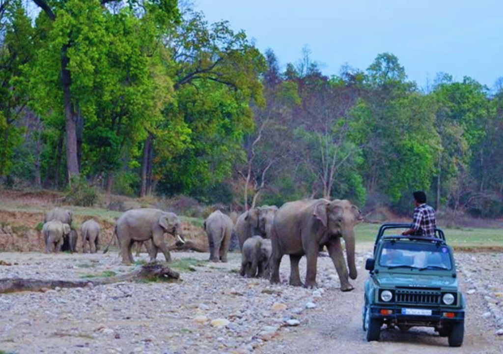 Local Culture and Attractions