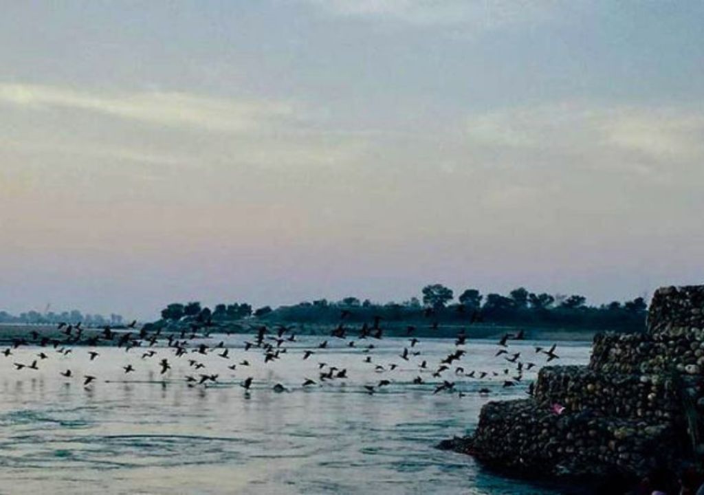 Neel Dhara Pakshi Vihar