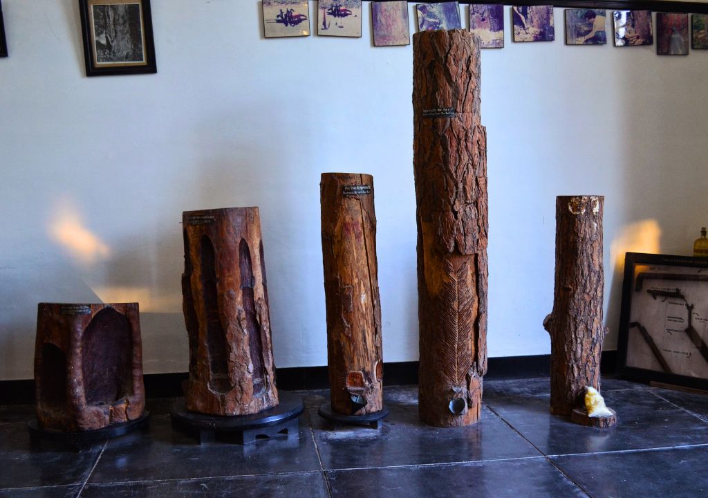 Non-Wood Forest Products Museum