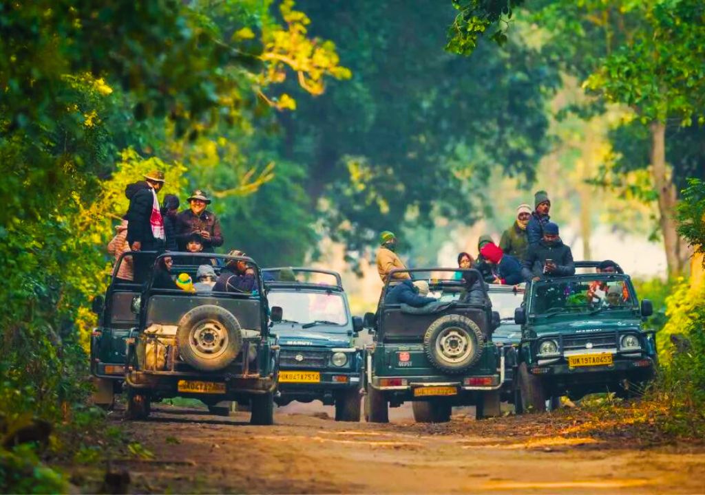 Rajaji National Park Dehradun – All You Need To Know