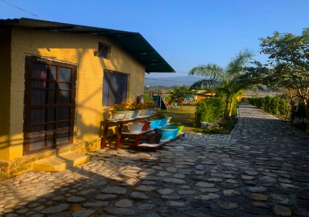 Rosetree Wild Trail Resort