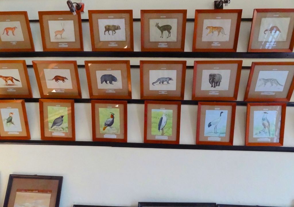 Silviculture Museum Dehradun