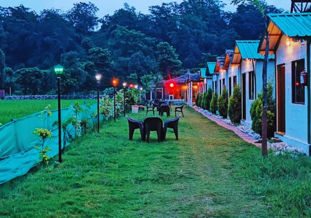 Camping Experiences at Rajaji National Park