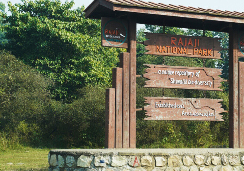 Rajaji National Park 4k 