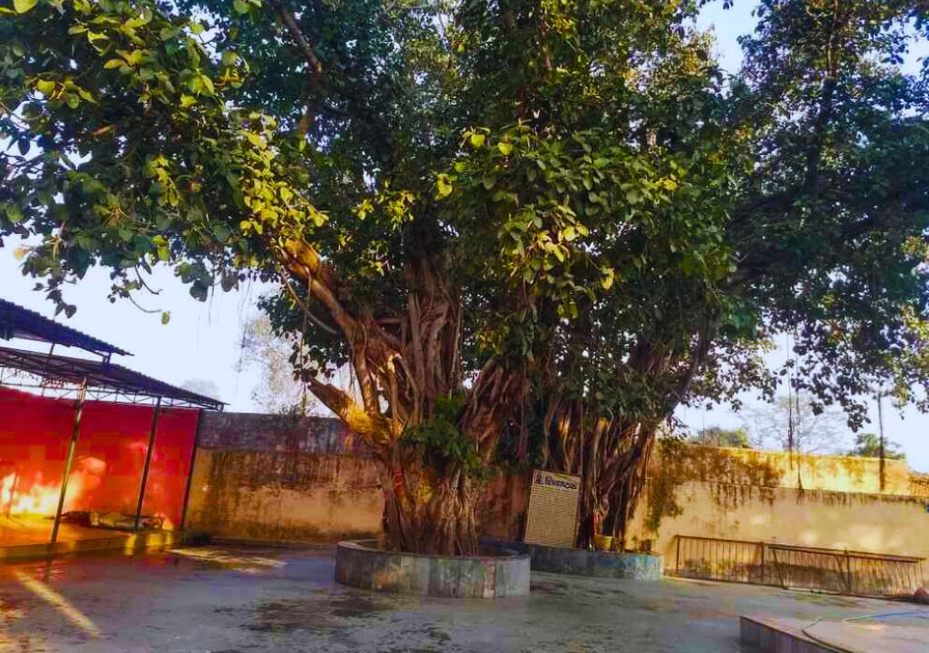 Virbhadra Temple Rishikesh