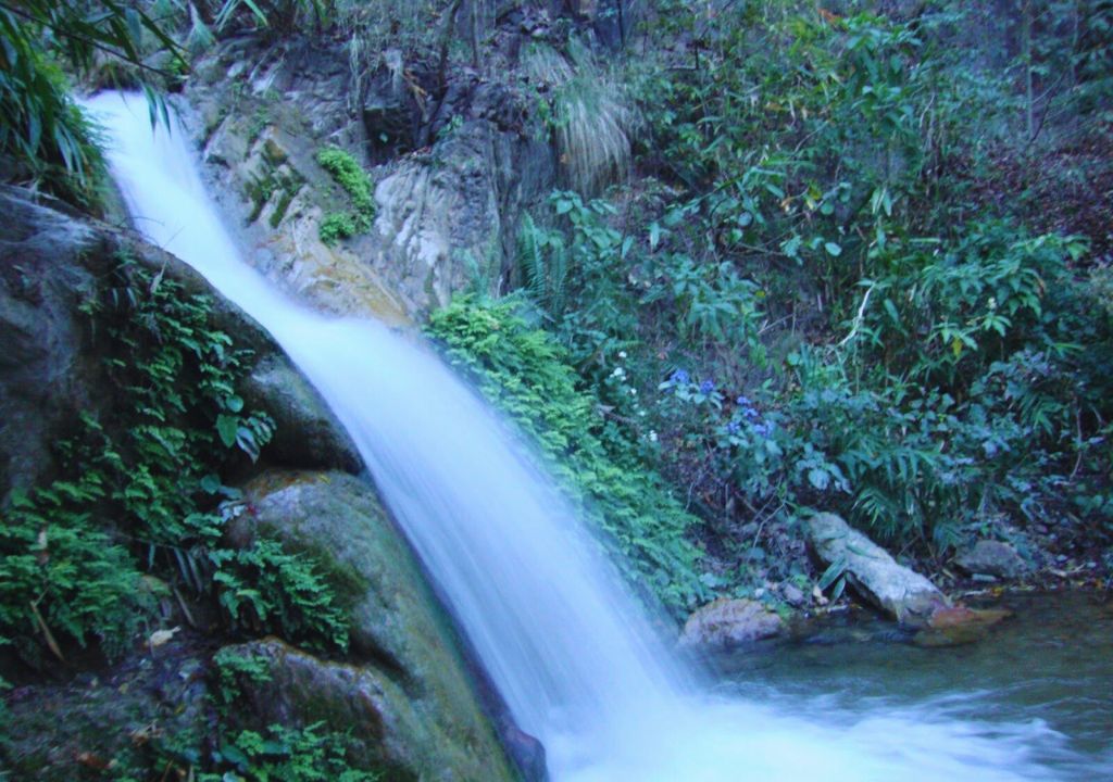 Waterfalls of Rajaji National Park