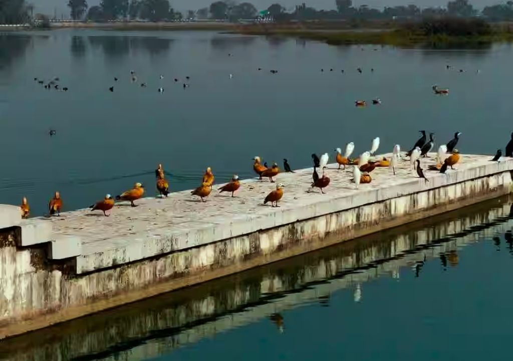 Assan Barrage Dehradun