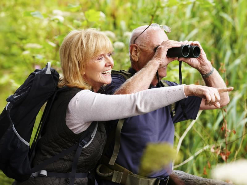 birding