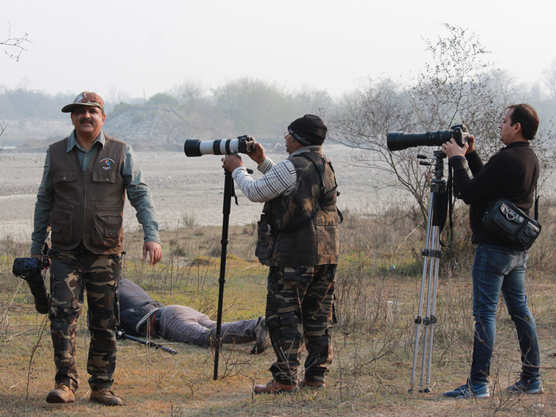 Birding at Rajaji