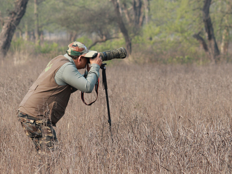 birding-guest2
