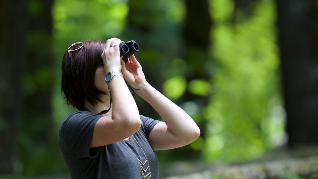 Birding Rajaji