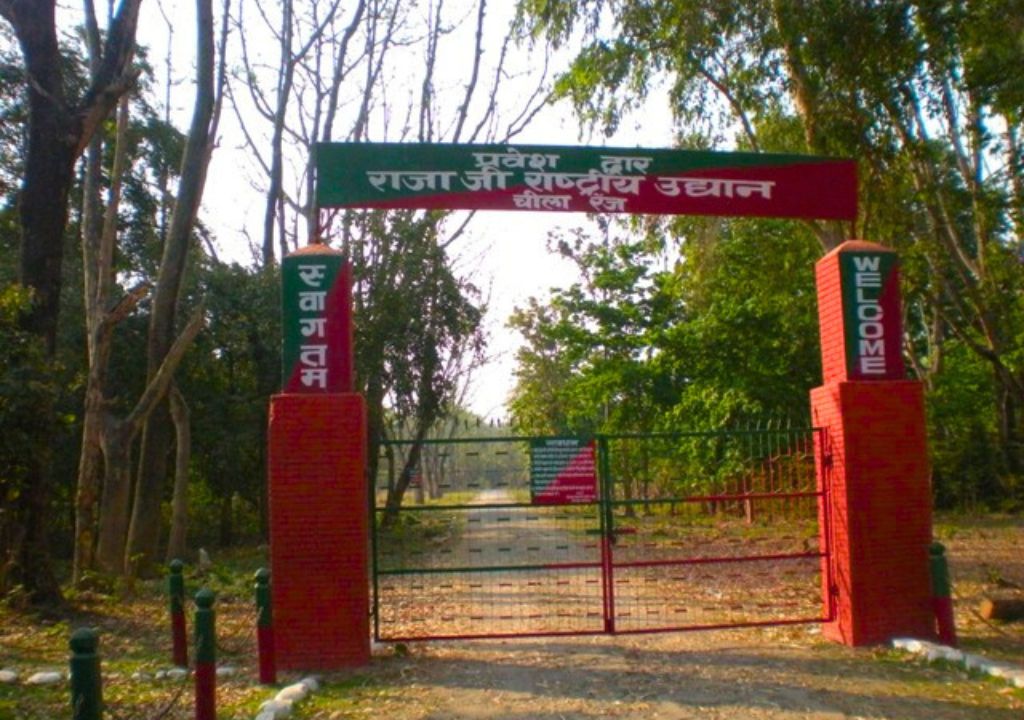Chilla Gate Rajaji National Park