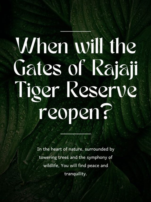 When will the Gates of Rajaji Tiger Reserve reopen?