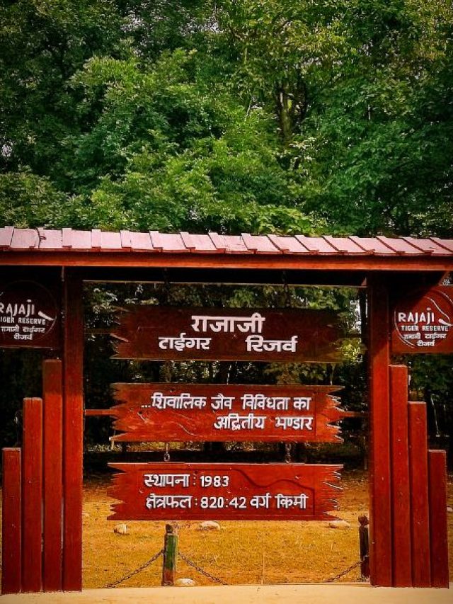 8 facts you dont know about rajaji tiger reserve