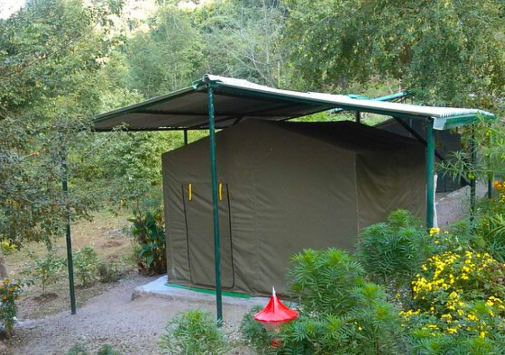Eco Wild Camps Rajaji