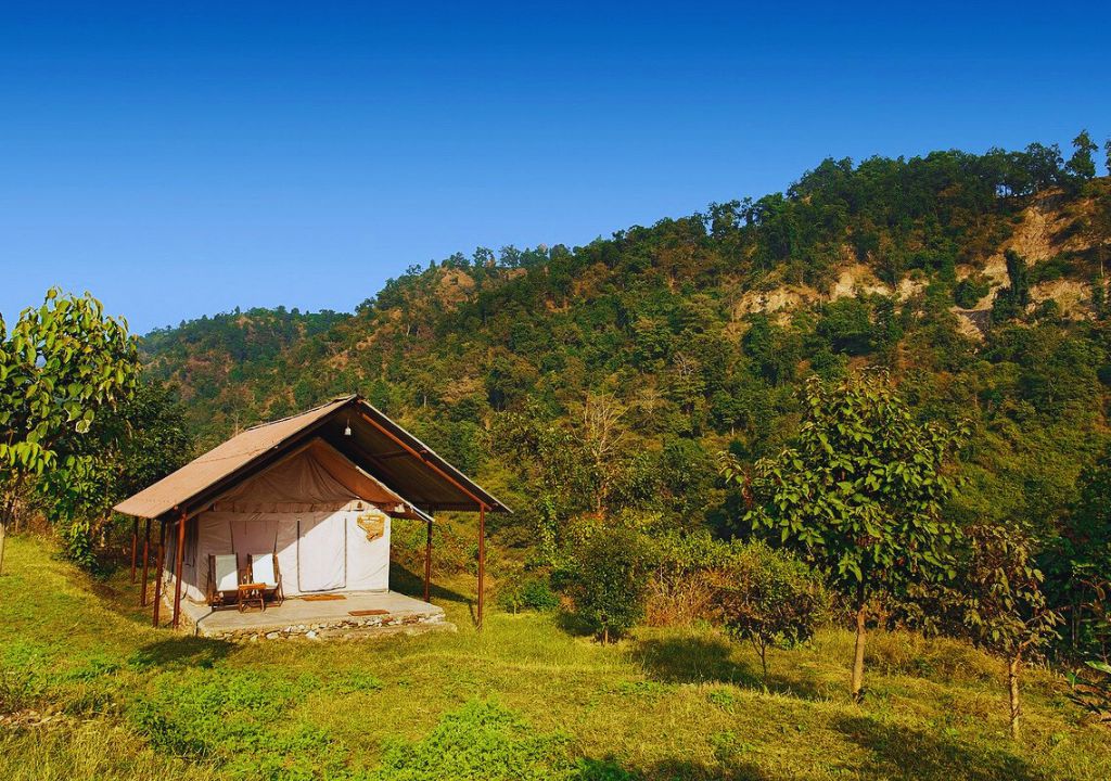Forrest Resort Rajaji National Park