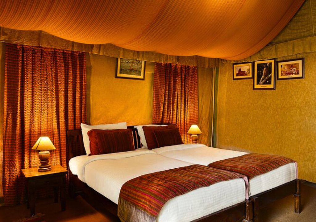 Forrest Resort Rajaji National Park