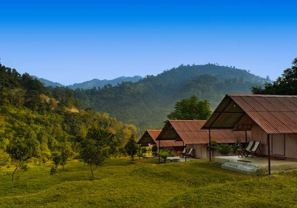 Forrest Resort Rajaji National Park