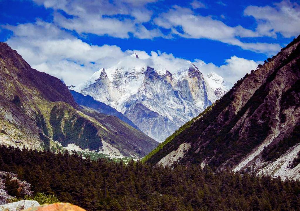 Gangotri National Park