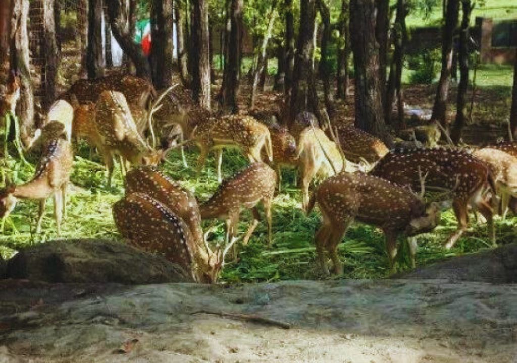 Haridwar Zoo