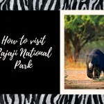 How to Visit Rajaji National Park