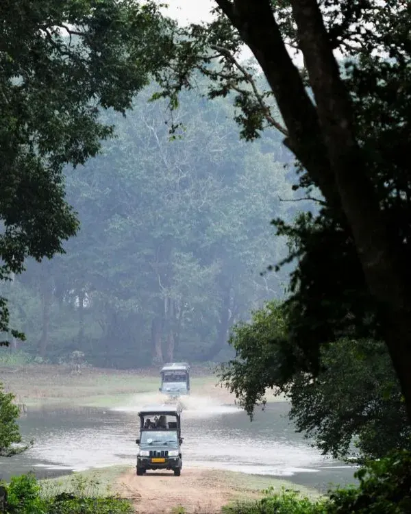 Jhilmil Jheel Conservation Reserve