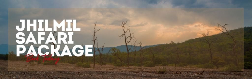 Jhilmil Safari Package