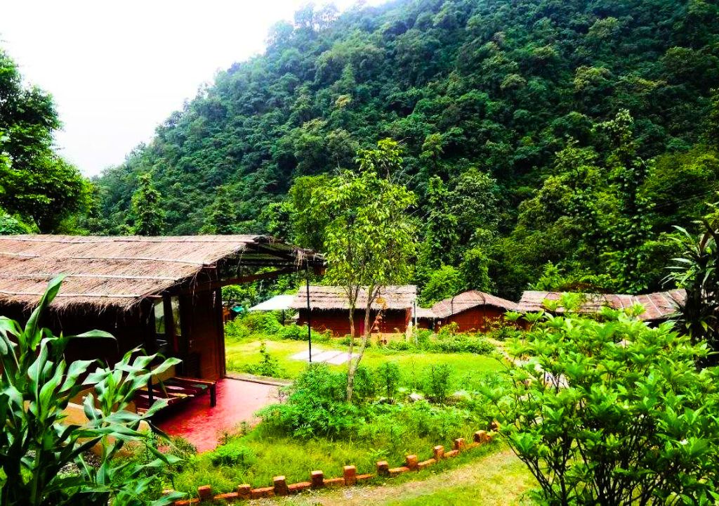 Best Hotels and Resorts Near Rajaji Tiger Reserve