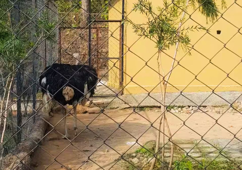 Malsi deer park dehradun