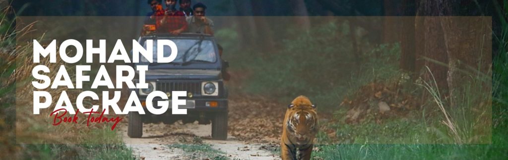 Mohand Range Jungle Safari