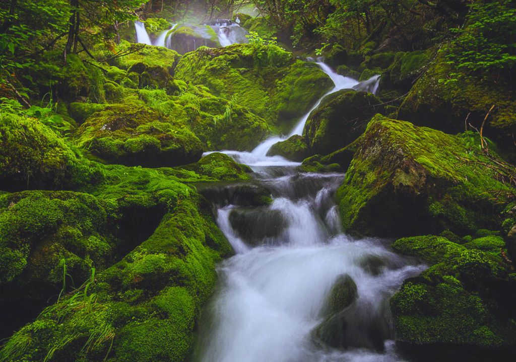 Mossy Falls