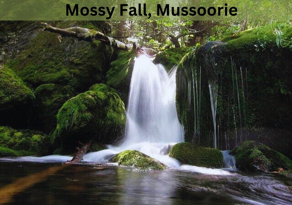 Mossy Fall: Discovering Mussoorie’s Natural Gem