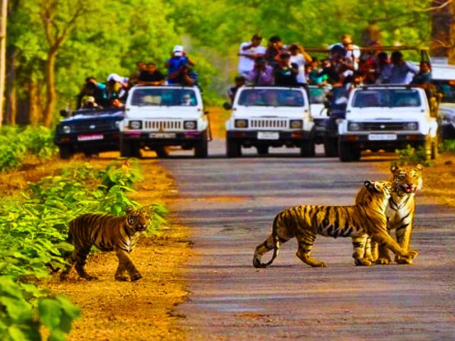 Motichur Range with Rajaji Jungle Safari