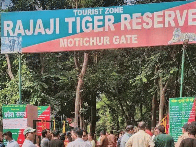 motichur-zone