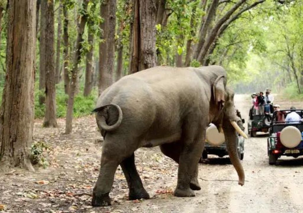 Haridwar Zoo