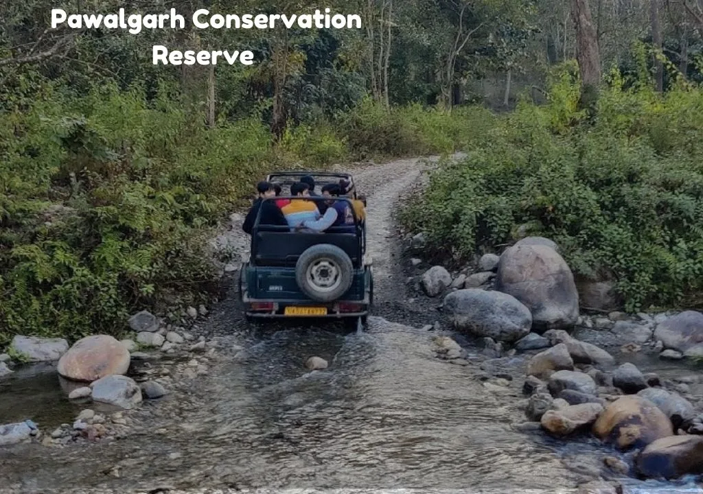 5 Reasons Pawalgarh Conservation Reserve is a Bird Watcher’s Paradise