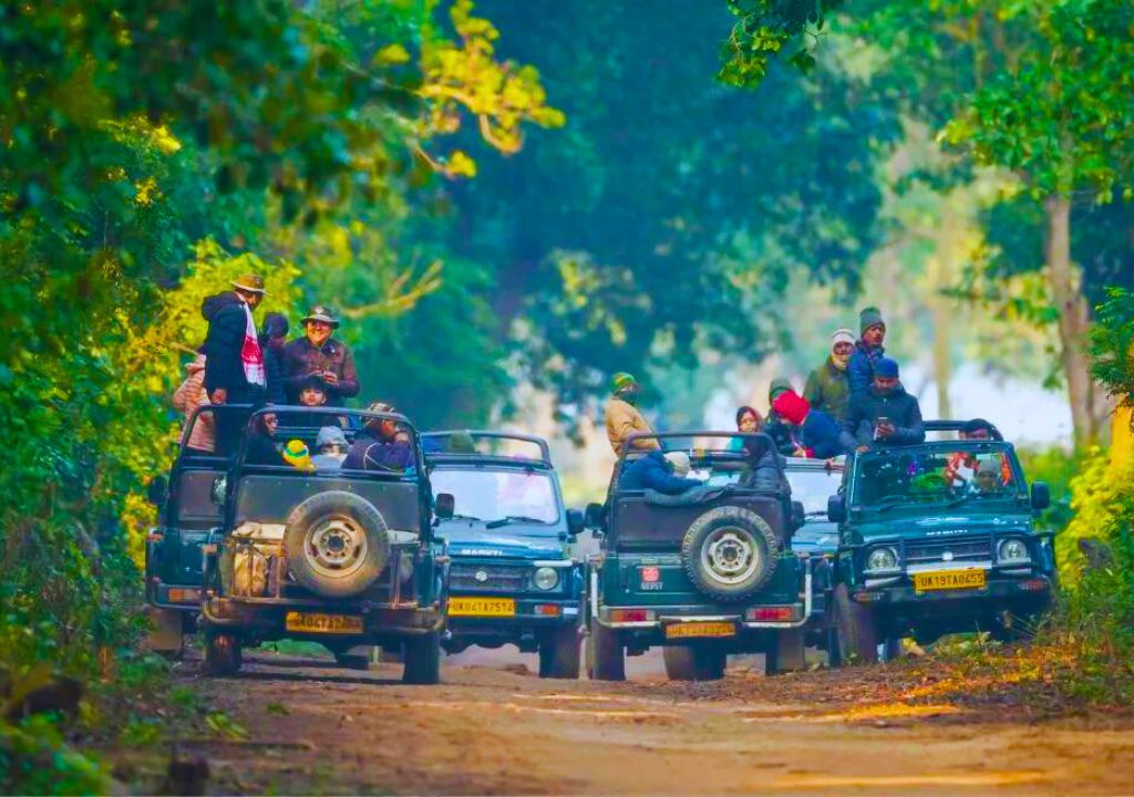 Rajaji National Park, Information, Tickets Booking