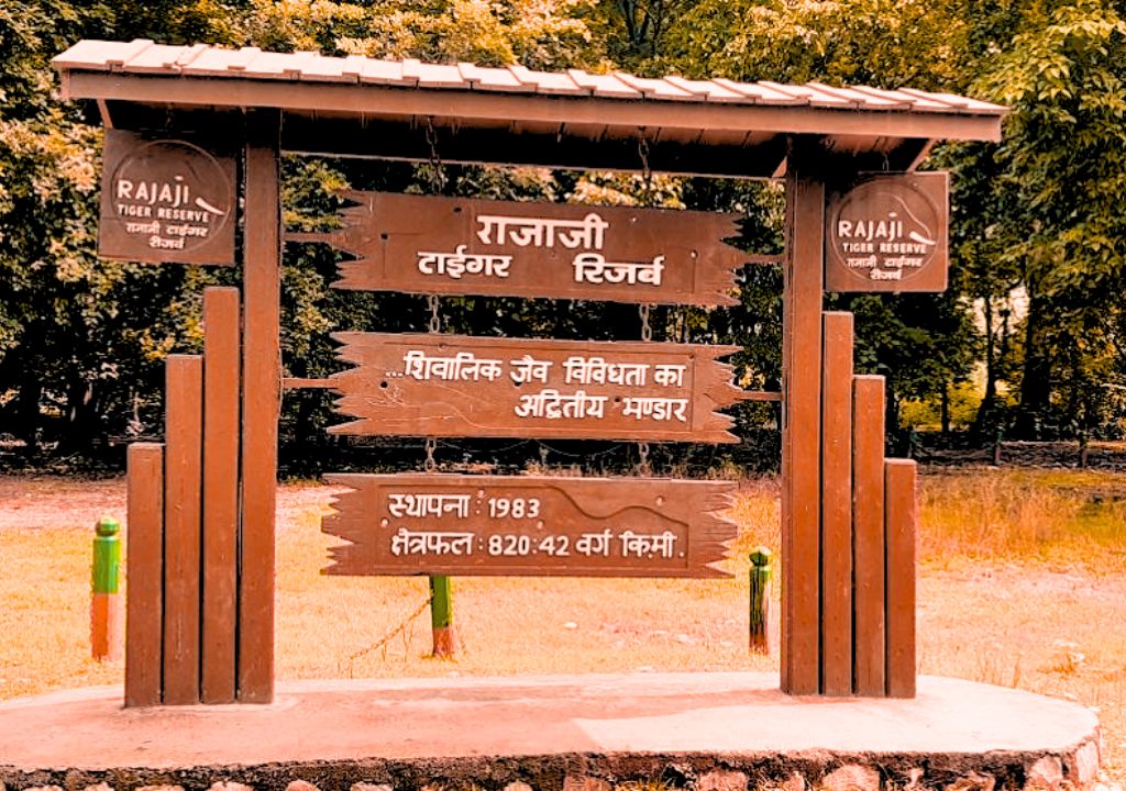 Rajaji Jungle Safari