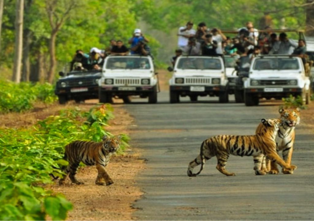Rajaji National Park