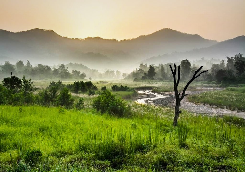 Rajaji National Park