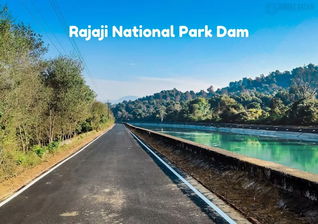 How To Visit Rajaji National Park Dam