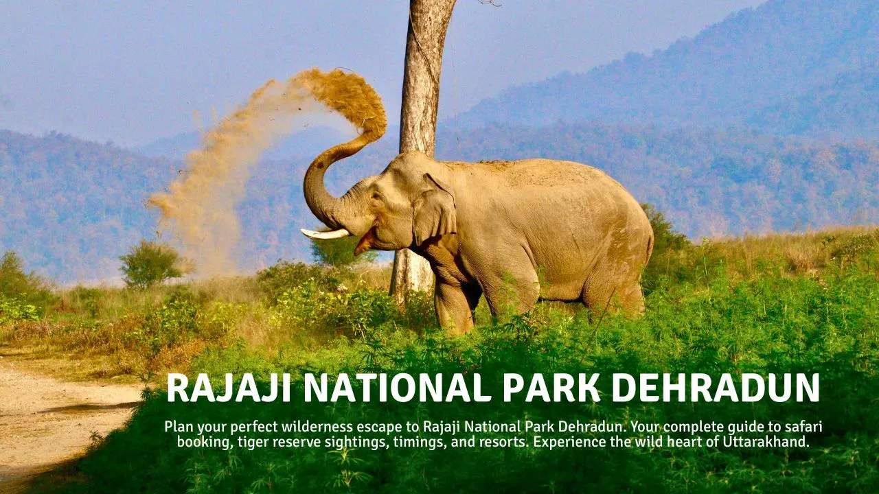 rajaji national park dehradun