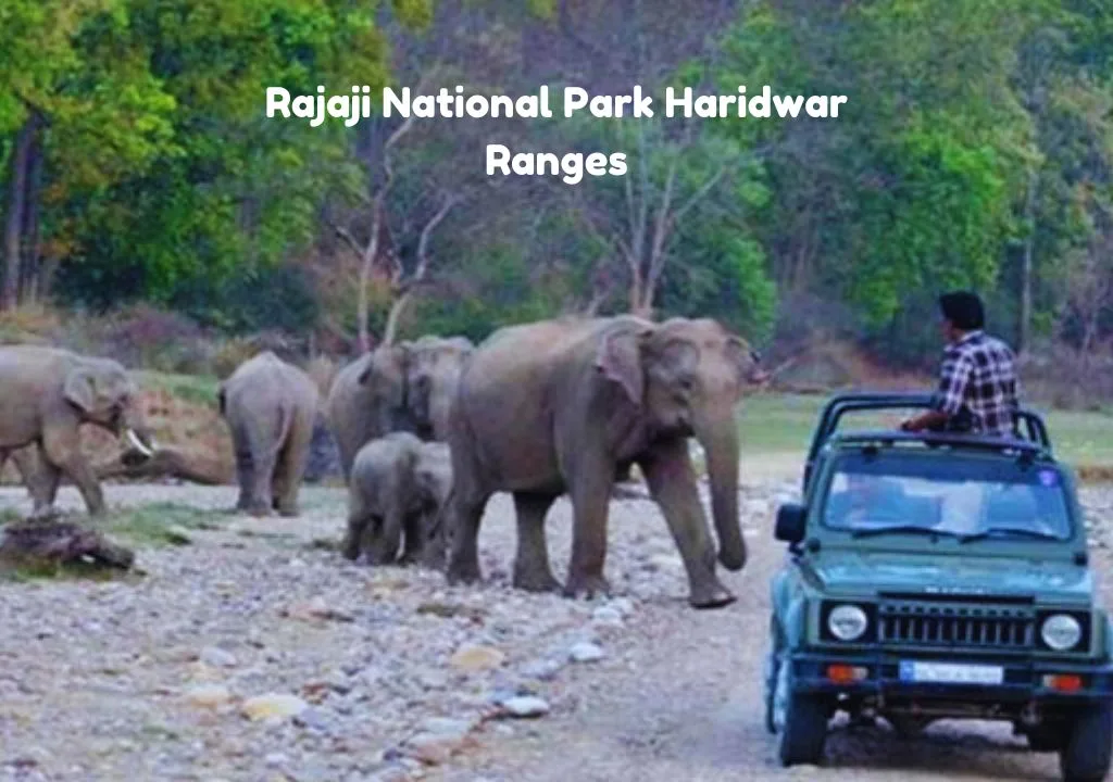 Rajaji National Park Haridwar Ranges